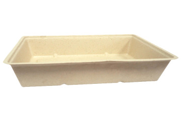 A50 bol à goûter, sucre de canne